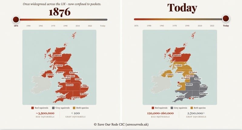 Maps comparing red and grey squirrel distribution in Britain in 1876 and today